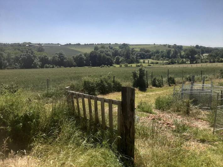 Location de vacances pour 3 personnes, avec jardin et vue, animaux acceptés dans Lys-Haut-Layon - 3