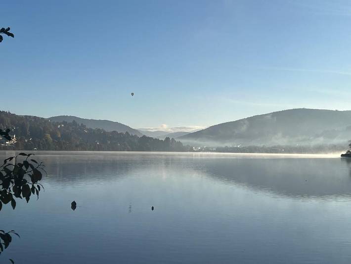 Location de vacances pour 6 personnes, avec jardin et sauna dans Lac de Gérardmer - 4