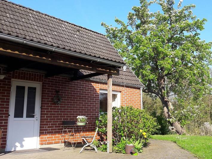 Ferienhaus für 6 Personen, mit Terrasse in Schashagen - 3