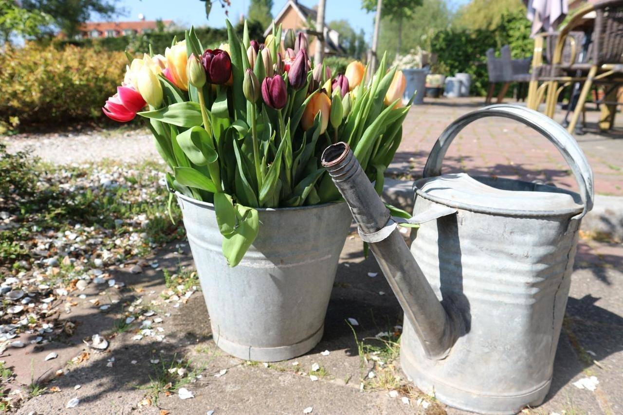 B&B - Pension Het Oude Dorp in Katwijk, Niederländische Nordsee