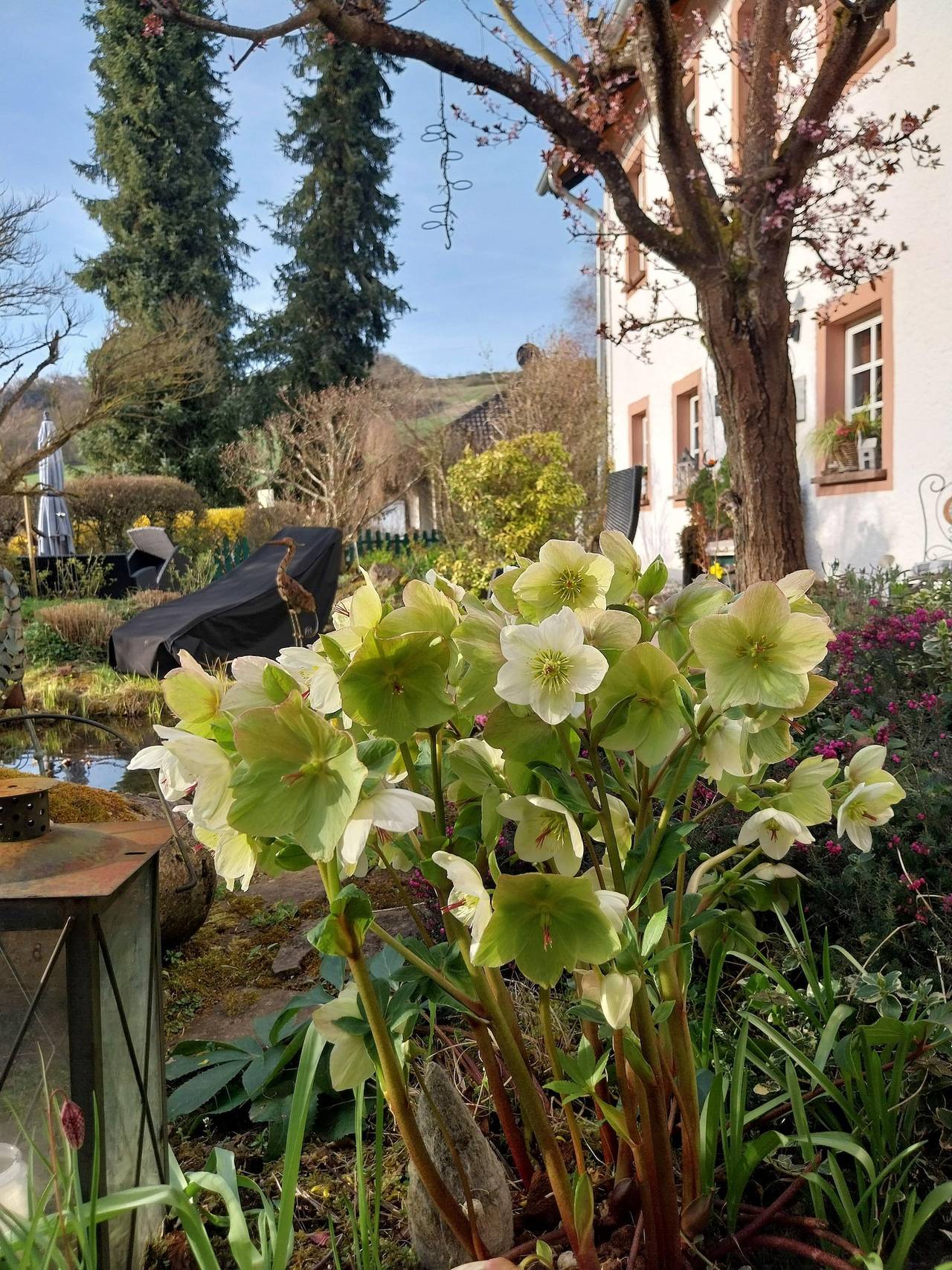Apartamento vacacional entero, 2-Bett-Ferienwohnung Dusche/Wc, 1 Schlafraum in Gerolstein, Eifel Volcánica