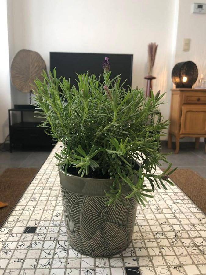 Gîte pour 2 personnes dans Montignies Sur Sambre - 3