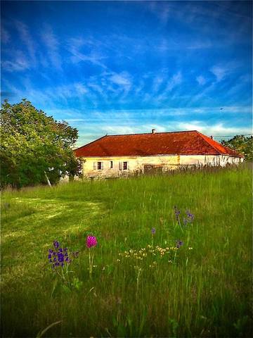 Chambre d’hôte pour 4 personnes, avec vue ainsi que jardin et piscine, animaux acceptés à Cazes-Mondenard