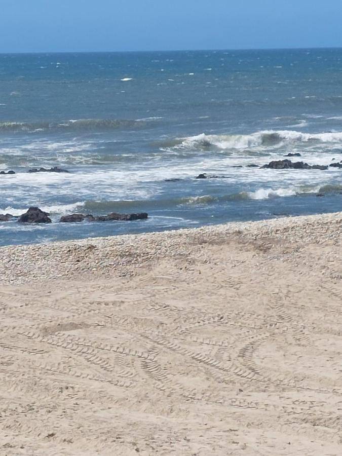 Apartamento inteiro, Duplex de luxo haut standing bord de plage avec piscine privée chauffée intérieurs in Esposende, Parque Natural do Litoral Norte