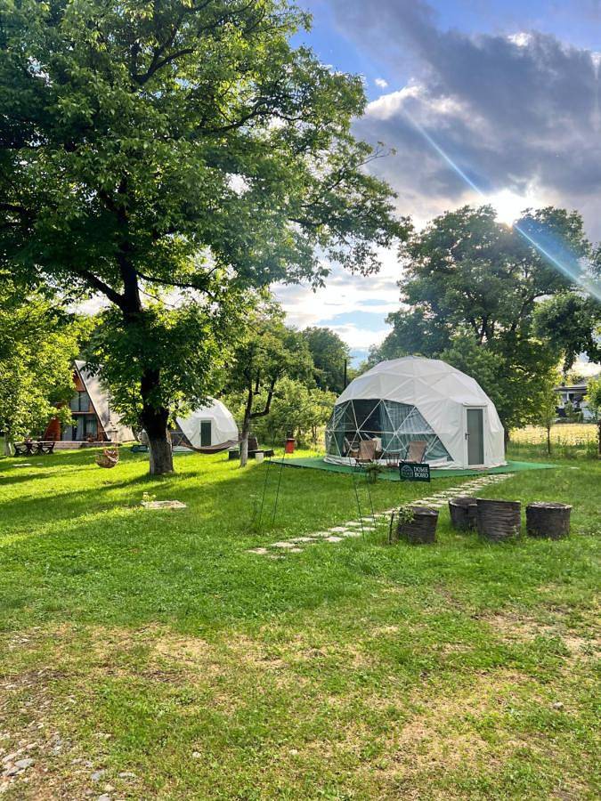 The Frog Glamping in Walachia