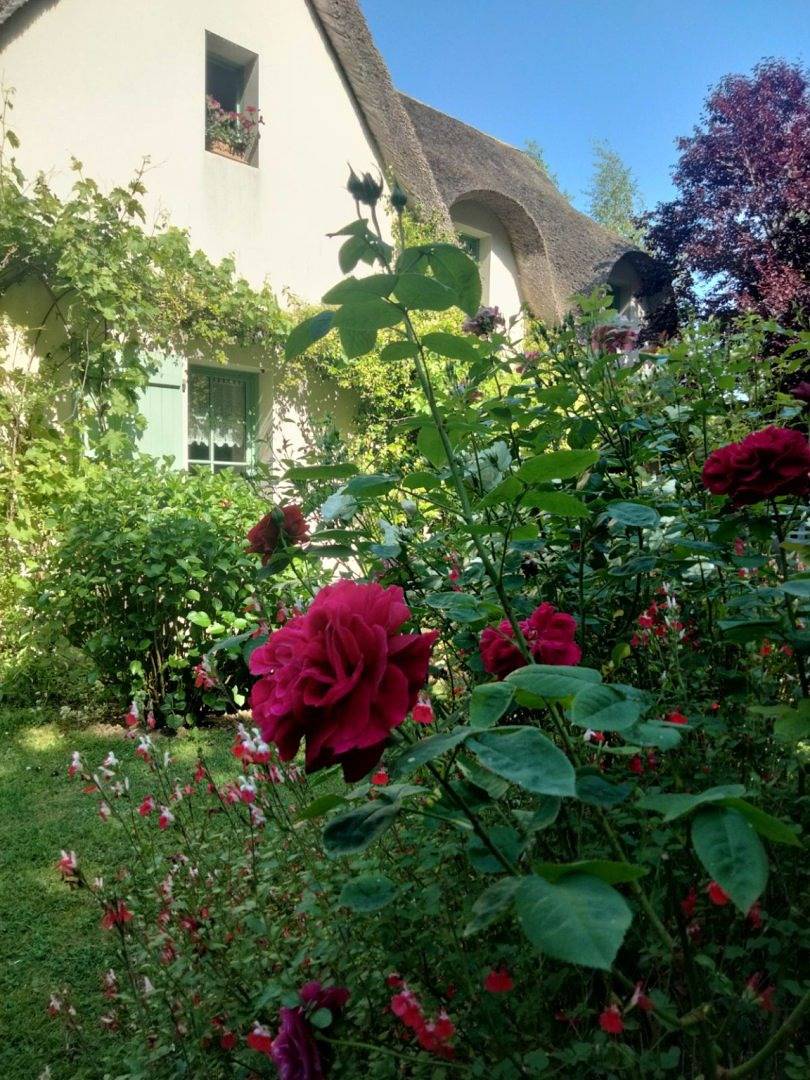Chambres d'hôtes de charme La Roselière - Iris de Brière in Saint-Lyphard, Région de Saint-Nazaire