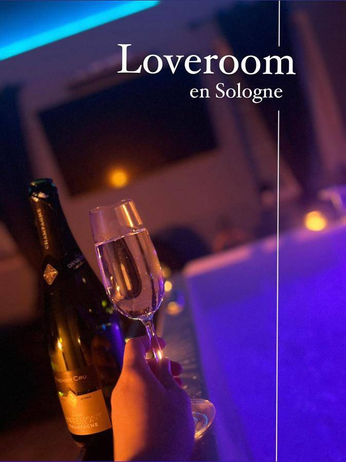 Location de vacances pour 2 personnes, avec jacuzzi et terrasse à Villefranche-sur-Cher - 2