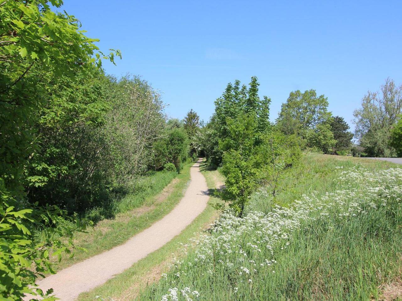 Ganze Ferienwohnung, Haus Sommerdeich App. 4 in St. Peter-Bad, St. Peter-Ording