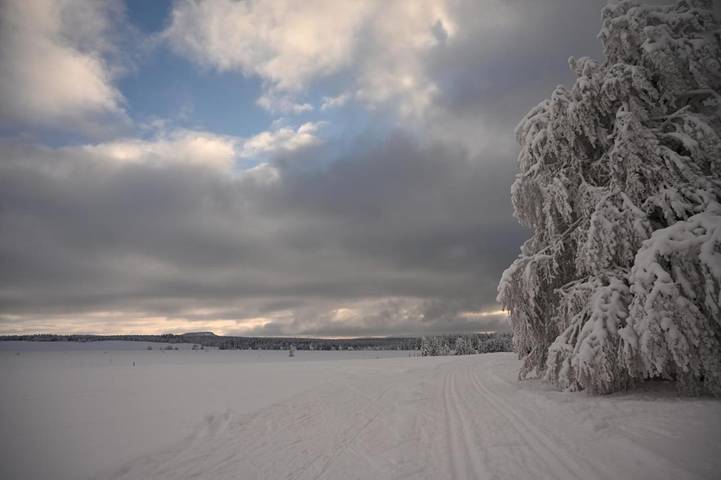 Gîte pour 4 personnes, avec vue et jardin à Wolkenstein (Allemagne) - 3