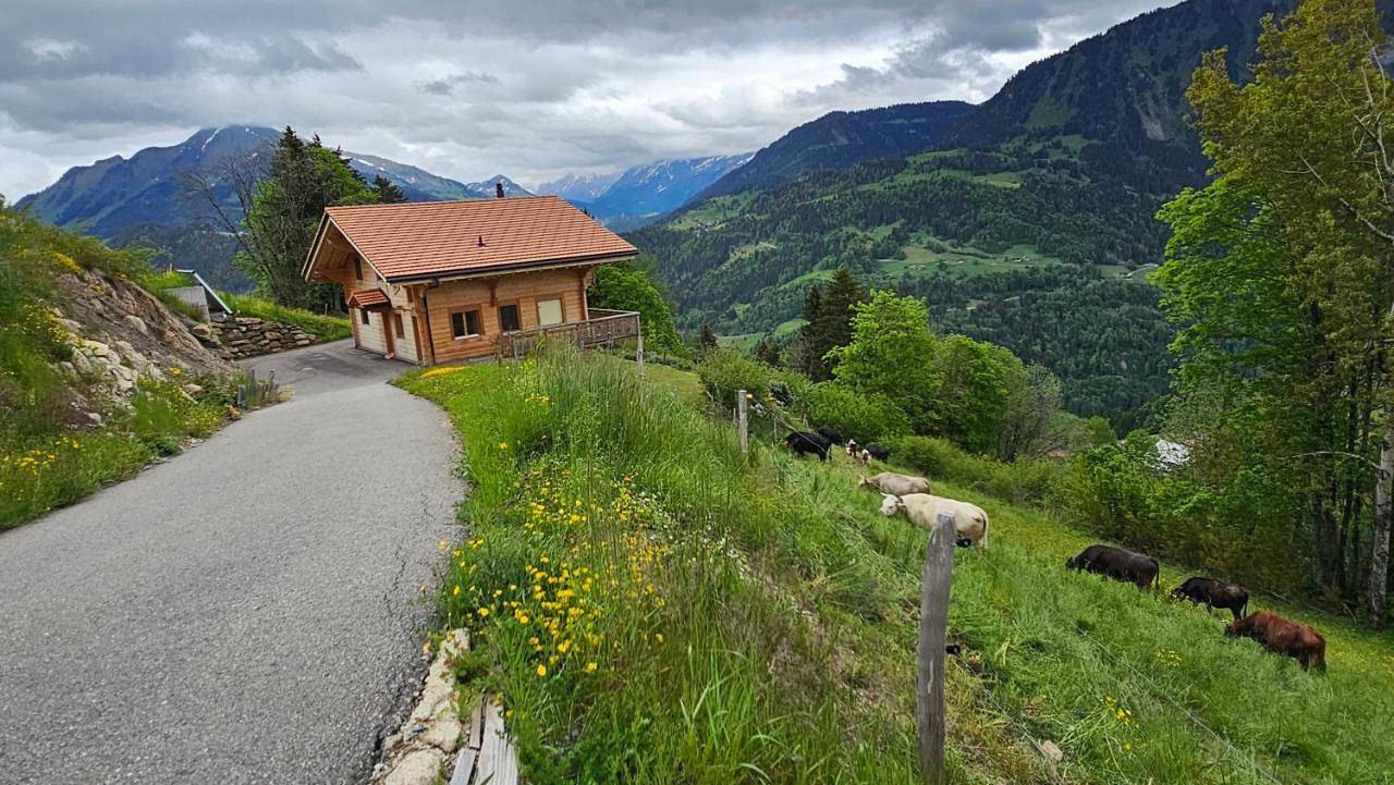 Winterfell in Leysin, Alpes Vaudoises