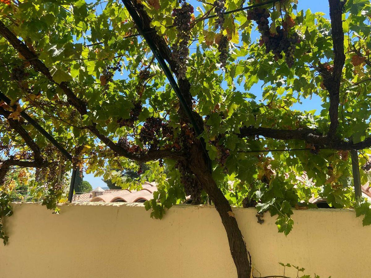 Appartement entier, Évasion en Provence Bas de Villa avec Jardin & Vignes, Soleil & Fraîcheur in Les Pennes-Mirabeau, Côte méditerranéenne (France)