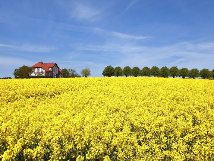 Ganze Wohnung, Gollwitzer Park (Insel Poel) in Gollwitz, Nordwestmecklenburg (Wismar und Umgebung)