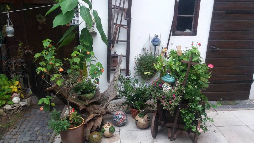 Ganze Ferienwohnung, Ferienwohnung Mulack - Ferienwohnung mit 2 Räumen in Rudolstadt, Saaleland
