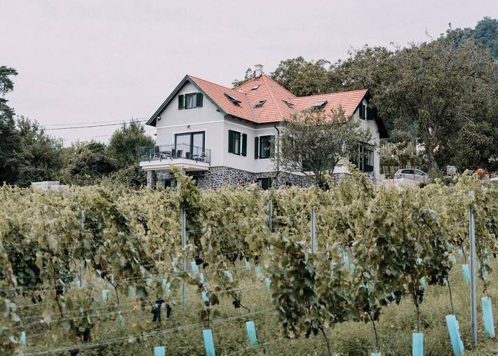 Ferienwohnung für 2 Personen, mit Terrasse und Garten sowie Seeblick in Badacsonytomaj