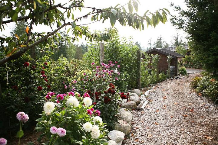 Bed and breakfasts for 8 people, with garden in Washington