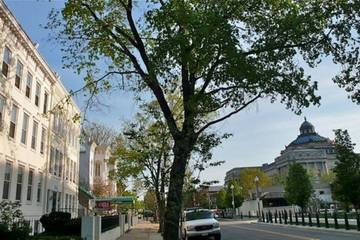 Apartment for 4 Guests in Capitol Hill, Washington D.C., Picture 4