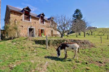 Gîte pour 7 personnes, avec jardin et terrasse à Saint-Pé-de-Bigorre