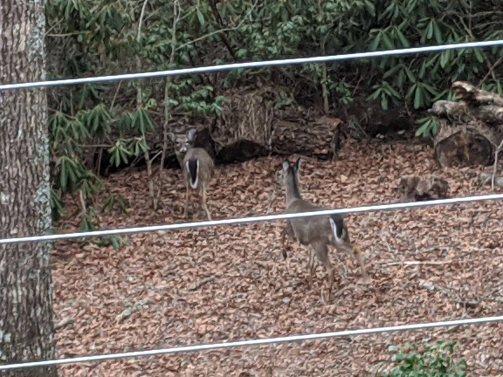 Couples Retreat - Secluded Mountain Home Minutes From Main Street!! in Highlands (NC), Macon County