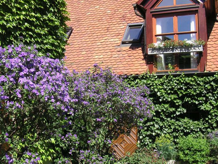 Ferienhaus für 5 Personen, mit Balkon und Garten, kinderfreundlich in der Fränkische Schweiz - 4