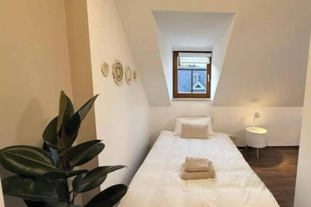 Ganze Wohnung, Apartmenthaus Döbeln Zentrum : Loft in Döbeln, Chemnitz und Umgebung