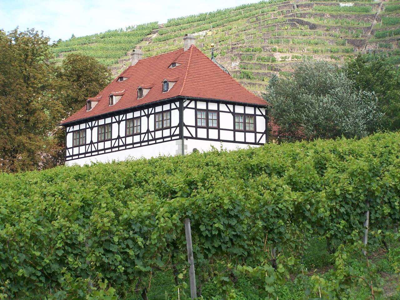 "Spitzhausblick" im Haus Felix in Radebeul, Meißen Region