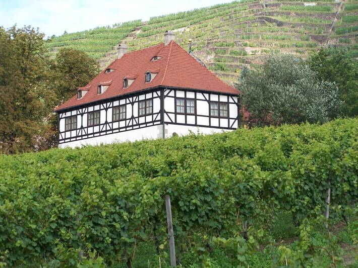 Ferienhaus für 3 Personen, mit Balkon und Garten in Radebeul - 4