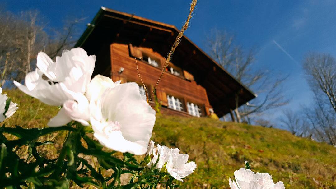 Ganze Ferienwohnung, Ferienhaus Gfell Weissenberge - Ferienhaus Gfell in Matt, Glarus Süd