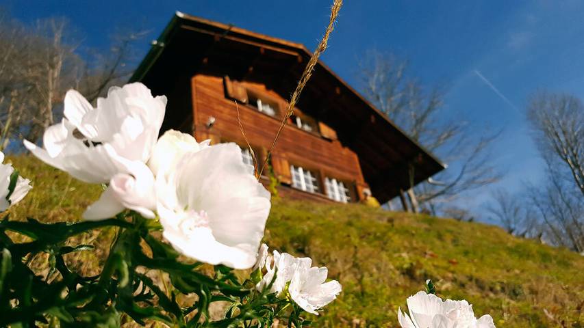 Ferienhaus Gfell Weissenberge - Ferienhaus Gfell in Matt, Glarus Süd