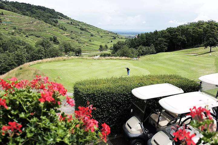 Studio pour 2 personnes, avec balcon et sauna, animaux acceptés dans le Haut-Rhin - 4