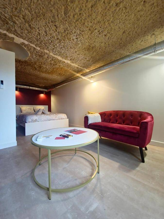 Gîte pour 2 personnes, avec terrasse à Saint-Étienne-de-Chigny - 4