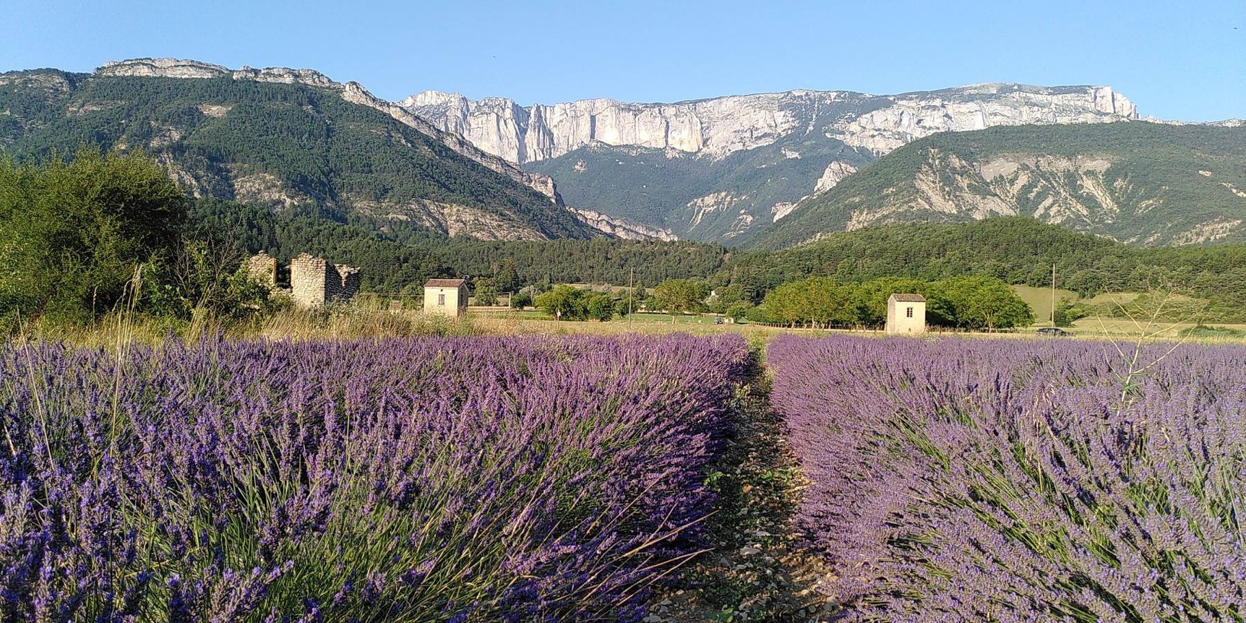 L'Eco-Logis du Clos des Tilleuls : 4 chambres d'hôtes - Le Pas de la Sagatte in Die, Parc naturel régional du Vercors