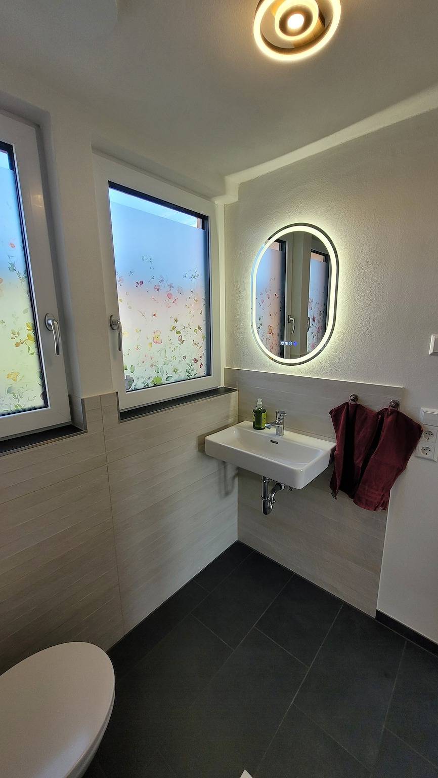 Ganze Ferienwohnung, Sonnenstüble in Eriskirch, Region Bodensee-Oberschwaben