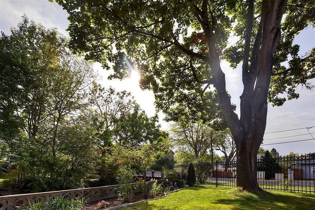 Historisches 2Br Salem House mit Blick auf Mill Creek! in Salem (OR), Willamette Valley