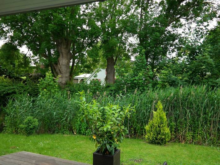 Ferienhaus für 5 Personen, mit Terrasse und Garten in Wesermarsch - 4