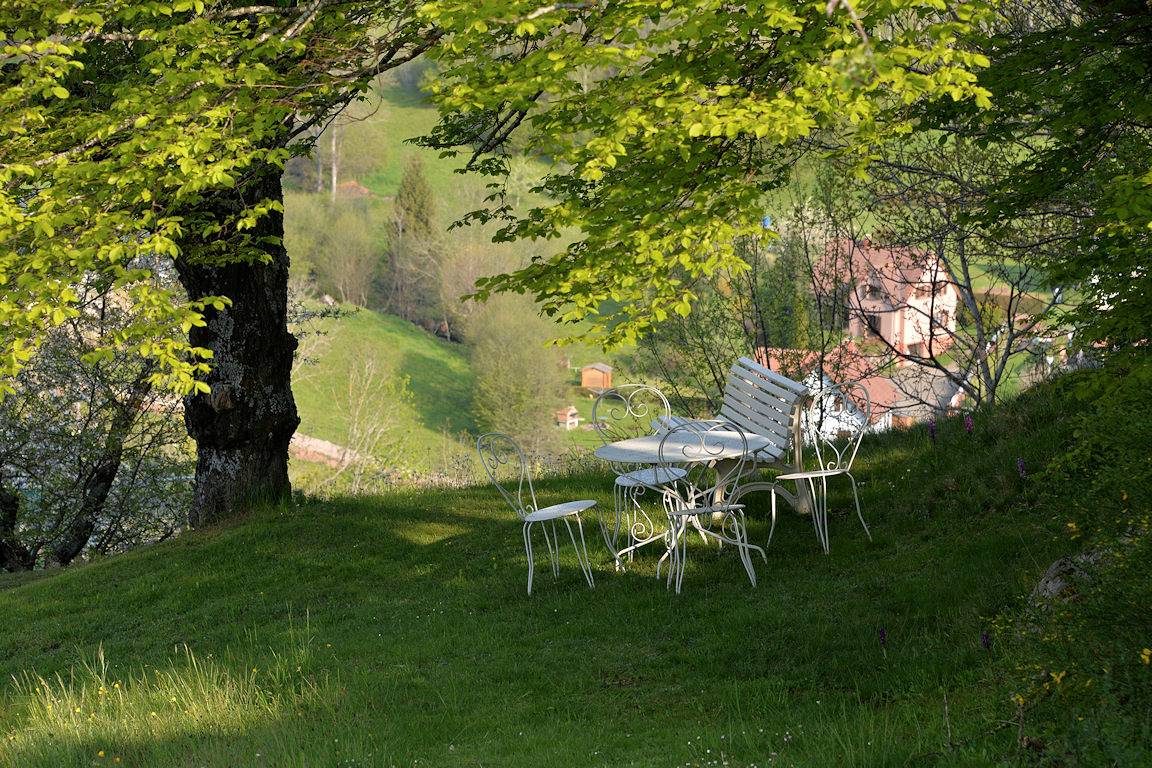 Gîte Les Mirabelles - Gîtes du Bois Joli in Orbey, Parc naturel régional des Ballons des Vosges