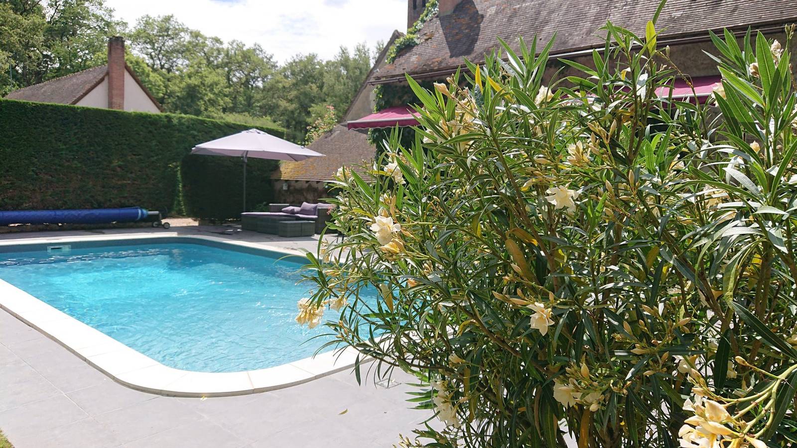 Gîte Marcheroux, forêt d'Amboise - piscine privée in Amboise, Région de Tours