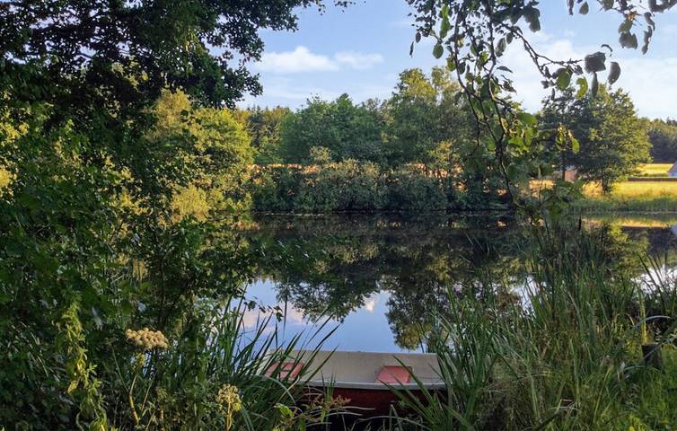 Ferienhaus für 4 Personen, mit Garten und Terrasse sowie Seeblick in Skanderborg - 2