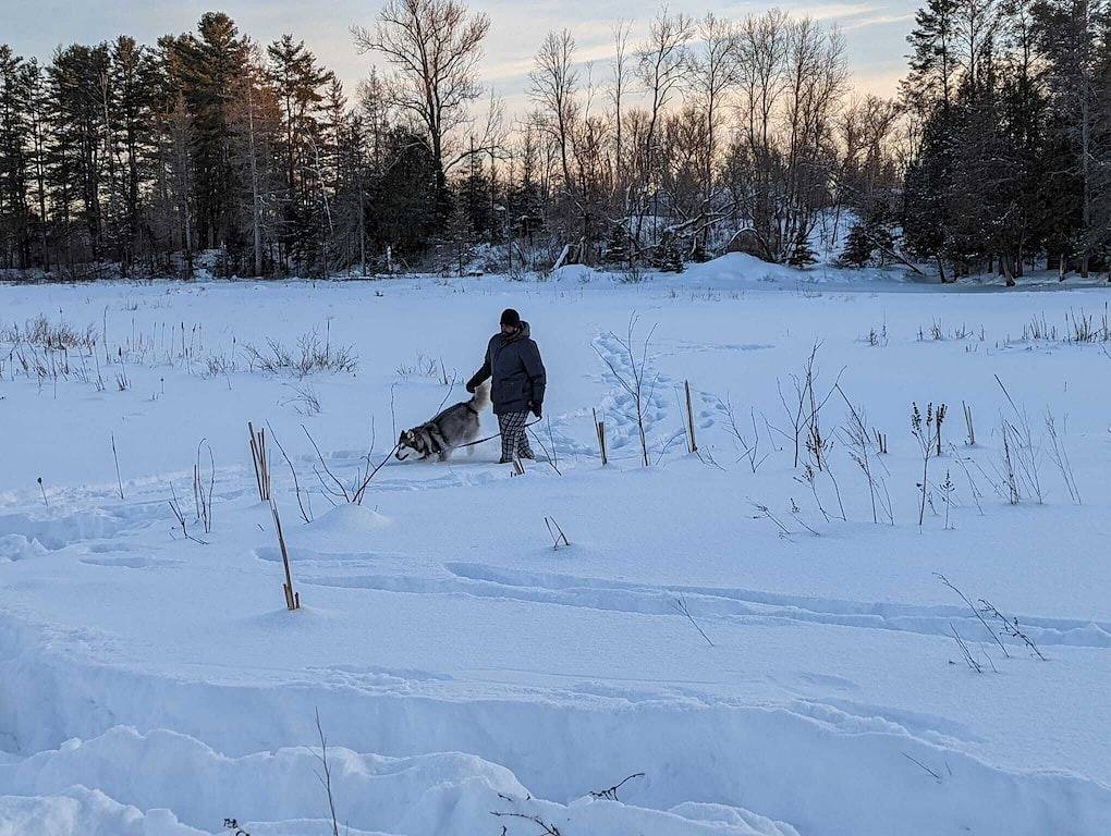 Marshmallow home, entire four bedrooms house in Algonquin Provincial Park