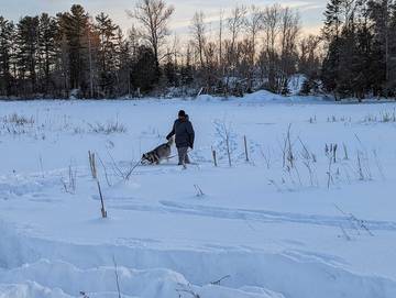 Cottage for 8 Guests in Algonquin Provincial Park, Picture 1