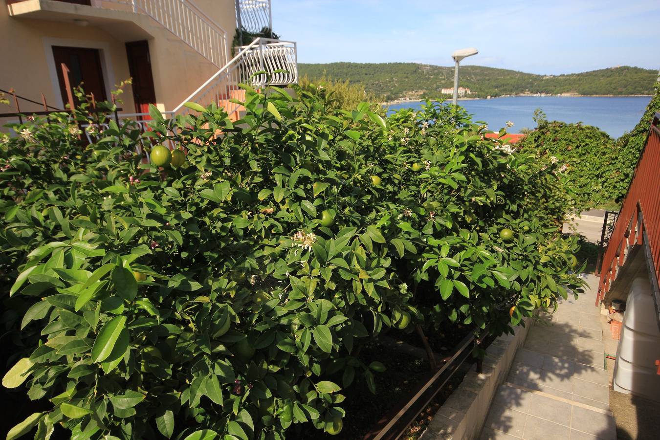 Entire apartment, One bedroom apartment with balcony and sea view Vis -b in Vis Town, Vis (Dalmatia)