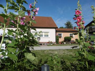 Ferienwohnung für 3 Personen in Dranske, Rügen, Bild 3