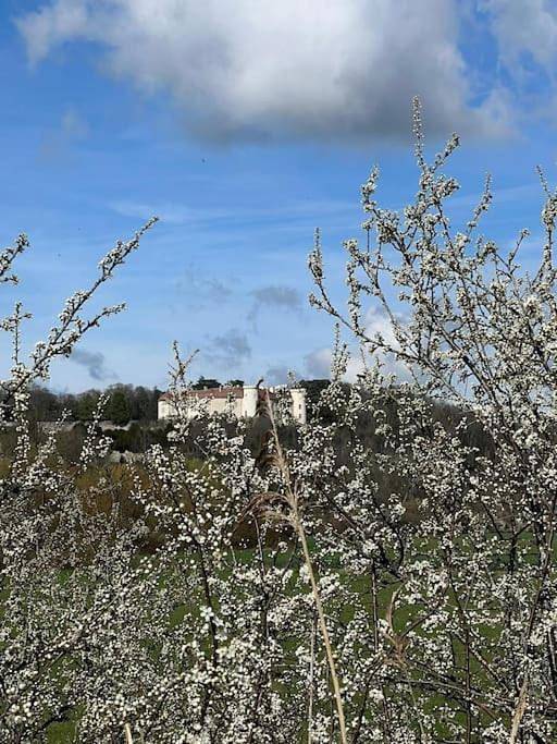 Gîte pour 4 personnes, avec vue et terrasse à Ray-sur-Saône