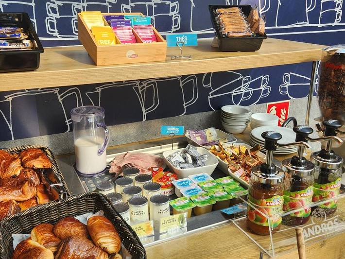 Hôtel pour 3 personnes, avec jardin, animaux acceptés à Dardilly - 4