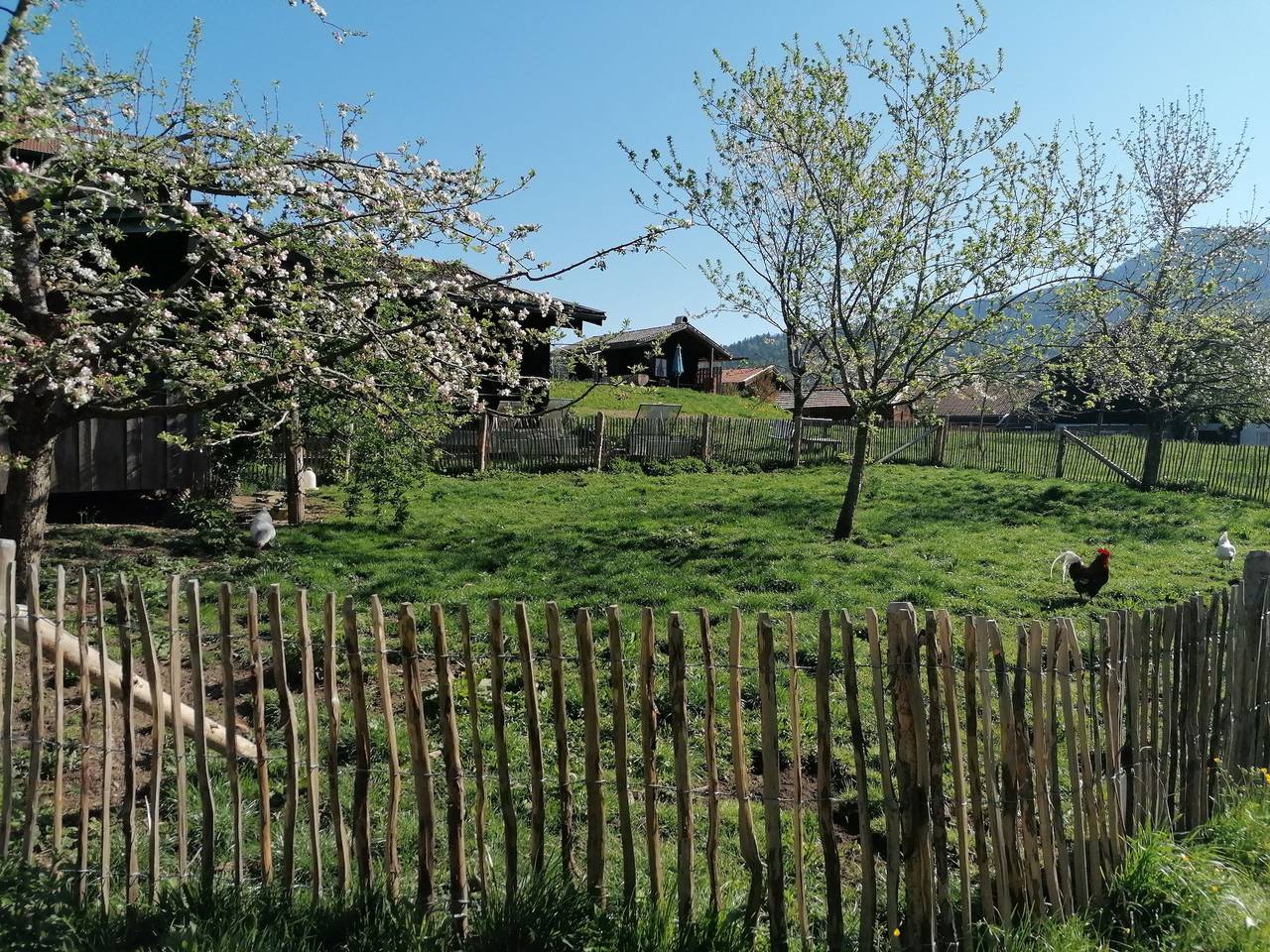 Matheishof inkl. Chiemgaukarte - Nr. 3 Ferienwohnung Sunnseitn 45qm, Balkon, 1 Schlafzimmer, 1 Wohnzimmer in Ruhpolding, Bayerische Alpen