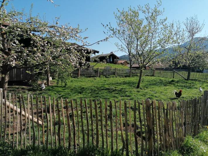 Ganze Ferienwohnung, Matheishof inkl. Chiemgaukarte - Nr. 3 Ferienwohnung Sunnseitn 45qm, Balkon, 1 Schlafzimmer, 1 Wohnzimmer in Ruhpolding, Bayerische Alpen
