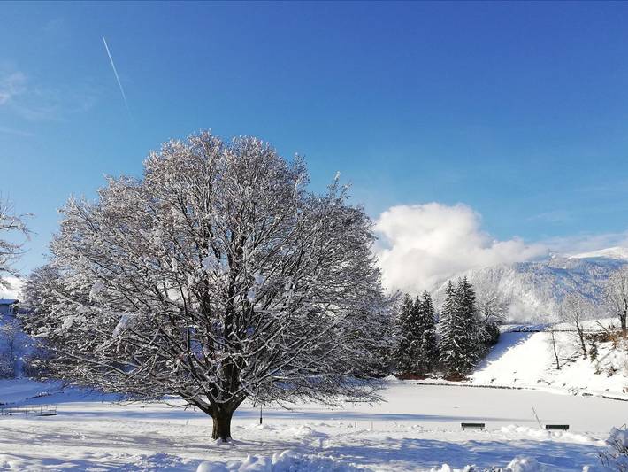 Hütte für 7 Personen, mit Garten und Balkon, kinderfreundlich in Reith im Alpbachtal - 4