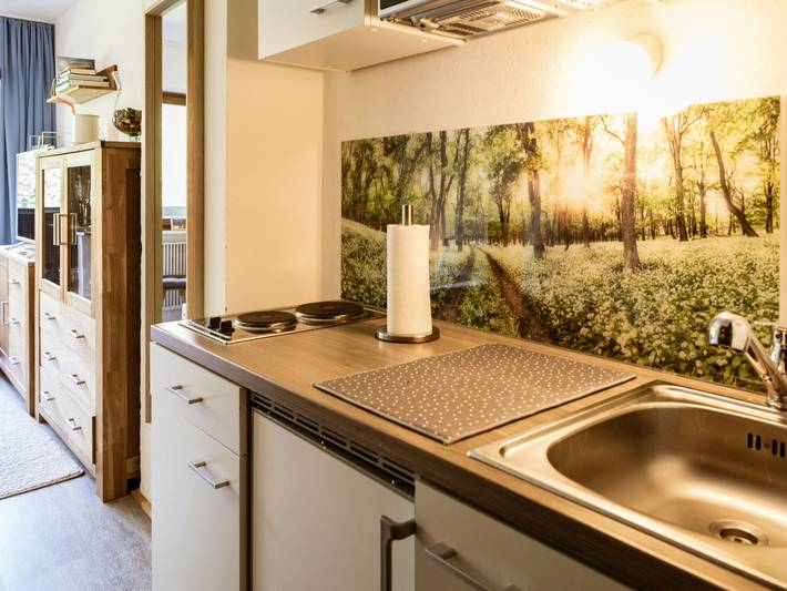 Ferienwohnung für 2 Personen, mit Terrasse, mit Haustier in SkiWelt Wilder Kaiser - Brixental - 3