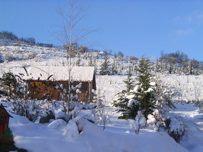 Chalet pour 7 personnes, avec jardin et terrasse, animaux acceptés