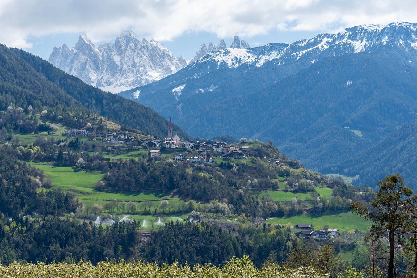Ganze Wohnung, Huberhof Apartment 'Golden Delicious' mit Bergblick, Garten und Wlan in Pedraz, Dolomiti Superski