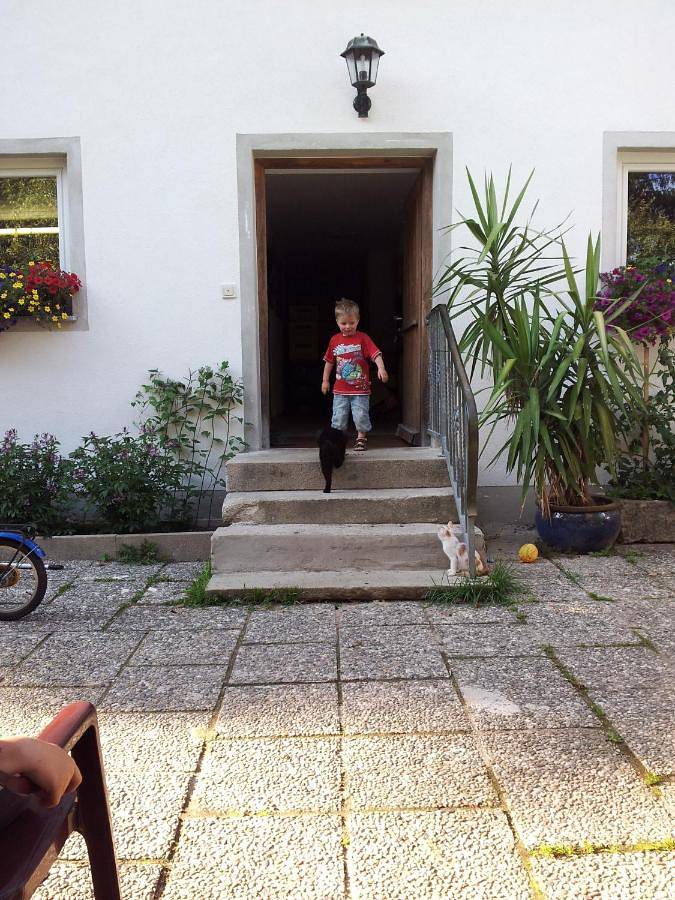 Ganze Wohnung, Gästehaus Grünberger in Hutthurm, Ostbayern